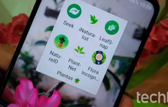 Descubre plantas con estas aplicaciones