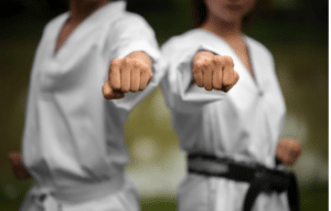 Aprende Karate desde Casa Fácilmente