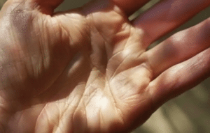 Descubre tu destino con estas aplicaciones