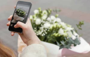 Identifica plantas fácilmente con estas apps