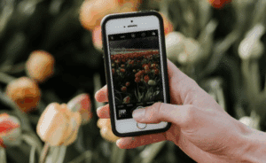 GreenThumb: tus plantas siempre radiantes