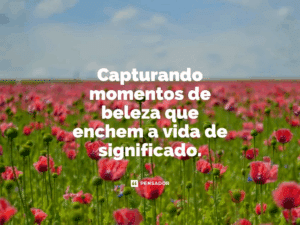 Motivación Diaria: Tu Impulso al Éxito