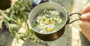 Té Mágico: Controla tu Azúcar