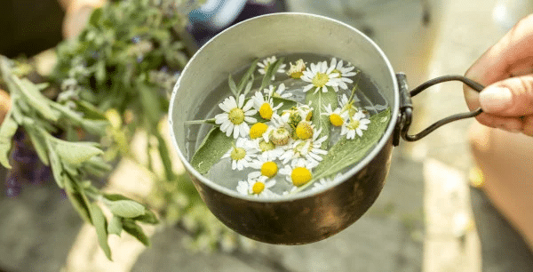 Té Mágico: Controla tu Azúcar