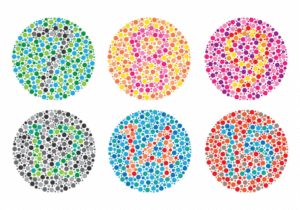 ¡Visión Perfecta Sin Costo!